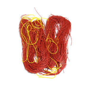 ตาข่ายจับปลาแบบเส้นเดี่ยว24เส้นสำหรับสวน - Product Image 3