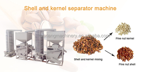 Machine à décortiquer les graines de tournesol, machine de traitement des pignons de pin - Product Image 6