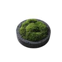 Saidkoc Modern baru gaya Cina teh meja marmer lumut abadi simulasi Pot bunga dekorasi 5 warna D20cm * H5cm bulat