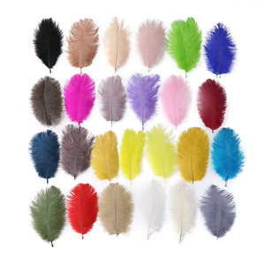 Nhiều Màu Sắc Lông 15-20Cm Đà Điểu Lông Cho Đám Cưới Tường Đảng Khiêu Vũ Đồ Trang Trí Lễ Hội - Product Image 1