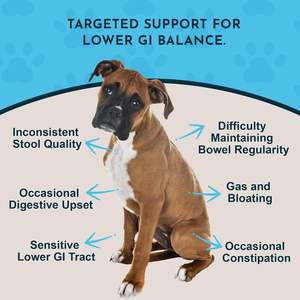 Suplemento Nutricional para la Salud Intestinal de Mascotas, Perros y Gatos, Apoyo Dirigido para <span class=keywords><strong>el</strong></span> Tracto Gastrointestinal Inferior - Product Image 3