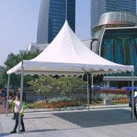 Tente de réception pliable imperméable pour l'extérieur, personnalisable, disponible en tailles 5x5, 6x6, 10x10 - En vente