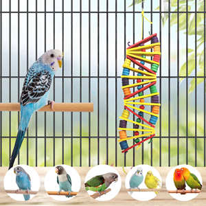 Blocs de bois multicolores Balançoire suspendue debout Nouvel oiseau Grand perroquet Oiseau en papier Jouet à mâcher Perroquets <span class=keywords><strong>Cage</strong></span> Jouet à mordre - Product Image 5