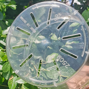 Vaso di fiori con fori di drenaggio <span class=keywords><strong>per</strong></span> trapiantare piante grasse <span class=keywords><strong>talee</strong></span> piantine - Product Image 3