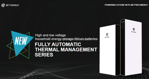 Neues Design Thermisch verwaltete Lithium batterie Für Solaranlage 9KW 11KW 13KW Hochspannungs-Wärmepumpe Lithium batterie - Product Image 4