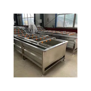 High quality Industrial Fresh Vegetable Fruits Cleaning Drying Processing Machinery for sale