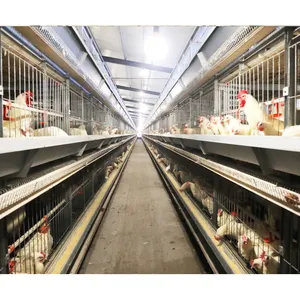 Equipo de granja inteligente para incubar, criador de huevos, jaula para pollos, accesorios para gallos