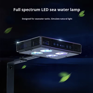 Aquarium marin écologique en <span class=keywords><strong>verre</strong></span>, ensemble complet, petit, blanc, pour débutants, bureau, 40, filtre arrière, fonctionnement facile, aquarium pour poissons coralliens - Product Image 5