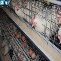 Système d'alimentation de nettoyage automatique du fumier  poulailler équipement de  Type H Cages à poulets pour ferme avicole