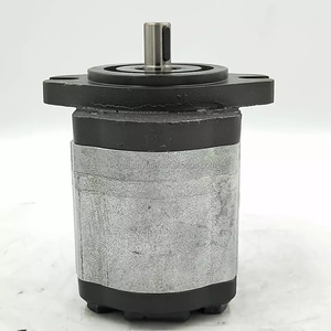 Kits de joints de pompe à engrenages SNW <span class=keywords><strong>2NN</strong></span> SNO2NN SNP SNW SNW2NN/017RN02AG/NNB7B5NNNN/NNNNN+SNP2NN/6.0RN03CA/P3B6B5NNNN/NN remplacés - Product Image 3