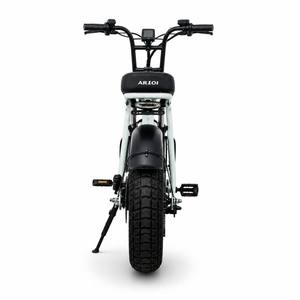 Vélo électrique AILEDI Retro Scrambler 20 pouces avec pneus larges 4.0, panier de rangement, 48V 750W 1000W, vélo électrique tout-terrain - Product Image 2
