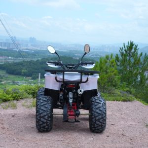Quad 125cc fabriqué en Chine pour le tout-terrain - Product Image 3