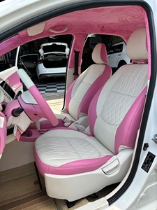 Auto Lederen Kleur Verf, Plastic Kleur Verf, Autostoel Lederen Plastic Reparatie