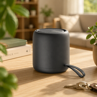 Nouveau Mini Haut-parleur Portable Extérieur Étanche 5.0 Haute Performance avec Micro Intégré 1000-2000mAh pour l'Export 2024