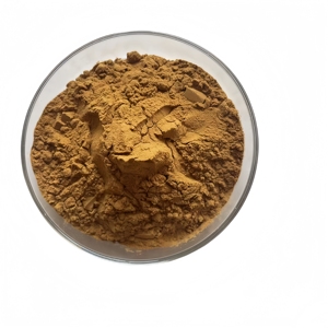 Estratto di Ippocastano Direttamente dalla Fabbrica, Polvere di Estratto di Ippocastano con 98% di Esculin in Bulk - Product Image 1