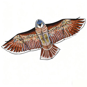 Chất lượng cao EAGLE diều bay với giá tốt Trung Quốc Hawk chim diều thể thao ngoài trời lớn chim bay diều - Product Image 4