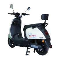 Bici elettrica aperta da strada con pneumatico a 14 250 bicicletta elettrica a 2 ruote con sistema di batterie al piombo