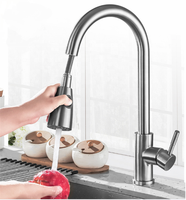 Robinet de cuisine extractible sans plomb en acier inoxydable 304 (SS30)