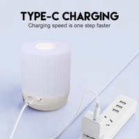 Lampes de nuit LED de chevet Dimmable Touch Control Battery Powered Home Bedroom Lighting Lampes de table