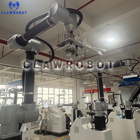 Robot de palettisation 6 axes, charge utile 20kg 30kg 40kg, hauteur de superposition 2100mm, certifié CE, pour cartons d'aliments et de boissons, stable et durable