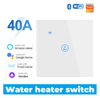 Interrupteur tactile intelligent Homekit pour chauffe-eau, climatiseur, commande vocale WiFi, norme européenne 20A/40A