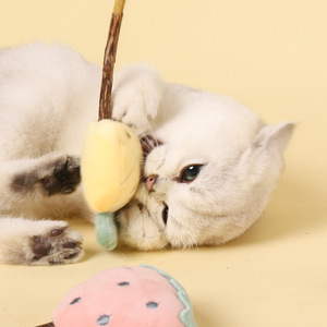 Juguete de masticación duradero con hierba gatera para gatos, palo para jugar con frutas y verduras, suministros para mascotas de interior al por mayor - Product Image 4