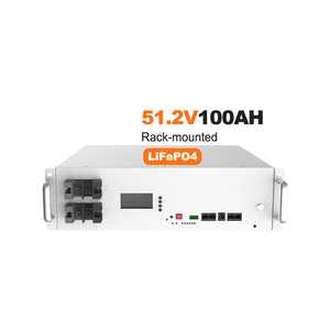 Batterie LiFePO4 E-Nice 51,2 V 100 Ah 5,12 kWh pour systèmes solaires domestiques CAN Inter |   Fabricant de systèmes de stockage d'énergie (BESS) de niveau 1 - Product Image 2