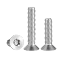 Vis de machine à tête plate Torx en acier inoxydable 304 à couple élevé, métrique ISO 14581, à entraînement étoilé pour la construction robotique professionnelle