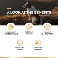 Suppléments nutritionnels Pet Scoot Stopper avec cosse de graines de lin et poudre de citrouille pour favoriser la digestion dans OEM/ODM de chiens à mâcher mous