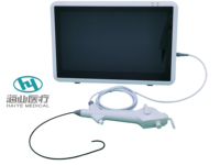 Cystoscope/urétéroscope jetable Haiye de 2,8/3,8/4,2/4,8 mm de diamètre, endoscope médical à usage unique pour vétérinaires, économique