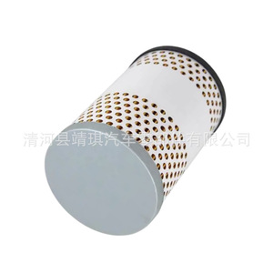 Filtro de Combustible P550674 P550463 R2714P F 5502 FF246 Diésel para Reemplazo o Reparación con Junta Tórica - Product Image 4