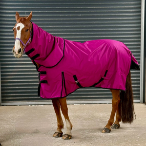 Manténgase cómodo en el calor con las alfombras ligeras de verano de caballos diseñadas para ventilación y aire - Product Image 4