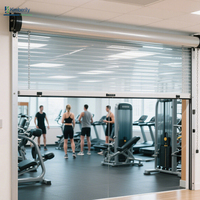 Fenêtres de porte de volet roulant transparentes en PVC sur mesure pour chambres supermarchés appartements magasins de lavage de voiture centres commerciaux
