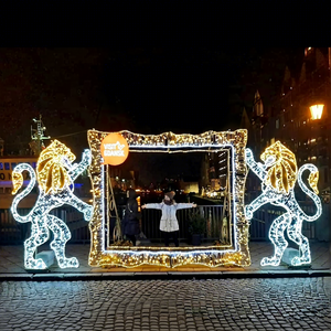 Christmas Holiday Entrance Photo Background Light Decoration for <b>Garden</b> Festival Scene and Outdoor Celebration - Product Image 1