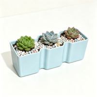 Pots à plantes succulentes, pots de pépinière en plastique pour cactus, petites plantes, décoration de bureau à domicile