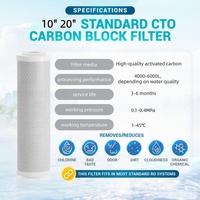 Cartouche de filtre à eau en bloc de charbon actif CTO de qualité alimentaire, 10 pouces, 20 pouces, pour système de filtration d'eau RO sous évier
