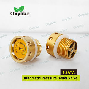 <span class=keywords><strong>HBOT</strong></span>チャンバー高圧酸素装置用自動圧力リリーフバルブ - Product Image 3