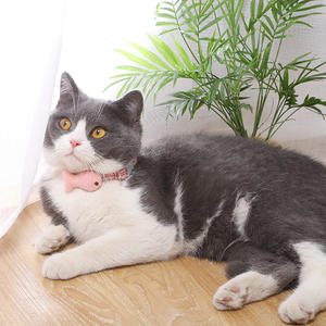 पालतू पशु उत्पाद हॉट सेल कॉटन एडजस्टेबल कॉलर रंगीन प्लेड डिज़ाइन कैट कॉलर - Product Image 4