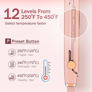 Ensemble de fer à lisser les cheveux en céramique à bon prix Ensemble d'outils de beauté des cheveux Fer à lisser et à friser LED portable pour les voyages - Product Image 4