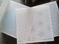 Paneles de techo acústicos ecorativos, lámina de malla perforada personalizada de HDPE