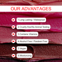 Rouge à lèvres liquide haute pigmentation, gloss à lèvres velours, longue tenue, imperméable, non transférable, maquillage pour les lèvres, étiquette privée, logo personnalisé