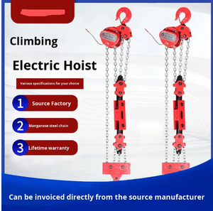 מנוף הרמה חשמלי מסוג DHP עם מסגרת טיפוס, מיכל שמן, פלדת מנגן מיוחדת, 5 טון/10 טון, בהתאמה אישית ממפעל - Product Image 2