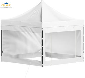 <span class=keywords><strong>2x2</strong></span> 3x3 2x3 3x4,5 3x6 Carpa personalizada con logotipo Carpa de marquesina de marco de acero Carpa de refugio promocional al aire libre Tienda de campaña con dosel - Product Image 2
