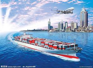 High Efficiency Shipping <strong>Agent</strong> 20ft 40ft FCL Sea Freight Forwarder Shipping From China to Auckland Wellington Bluff China <strong>Agent</strong> - Product Image 5