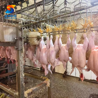 Ligne complète d'abattage de volailles, capacité 500-5000 poulets par heure