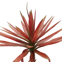 Fausse plante verte rouge bonsaï artisanat floral arbre d'agave artificiel pour la décoration intérieure