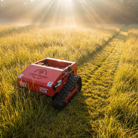 2026 Nieuwe Elektrische DIY 550 800 1000 1200 Fabrieksdirecte levering op afstand bestuurbare rupsrobot grasmaaier CE EPA EURO5 Aanbieding