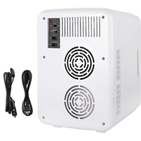 Kulkas Mini Portabel OEM ODM 10 Liter AC Rumah DC 12V 220V Mobil, Kulkas Kosmetik, Lemari Es Mini untuk Pendinginan