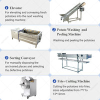 Ligne de production entièrement automatique de frites de pommes de terre surgelées pour la Turquie, machine à fabriquer des chips de pommes de terre, prix