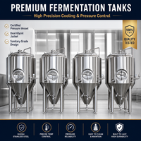 Système de brasserie nano en acier inoxydable Tonsen 200L, mini brasserie 2HL, équipement de brassage à domicile pour pub et restaurant